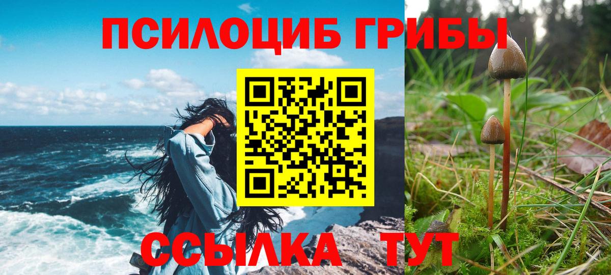 магазин    Псилоцибиновые грибы MAGIC MUSHROOMS  Вход с VPN  Зима 